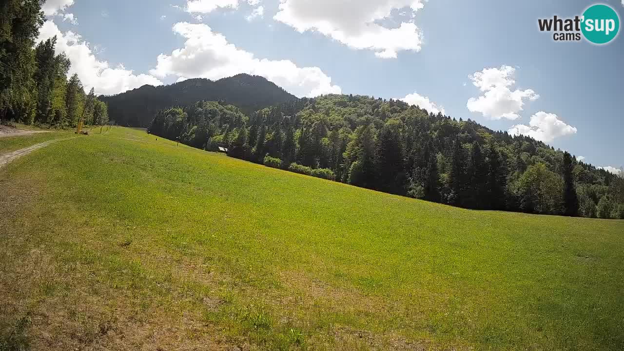 Ski Kranjska Gora | Brsnina
