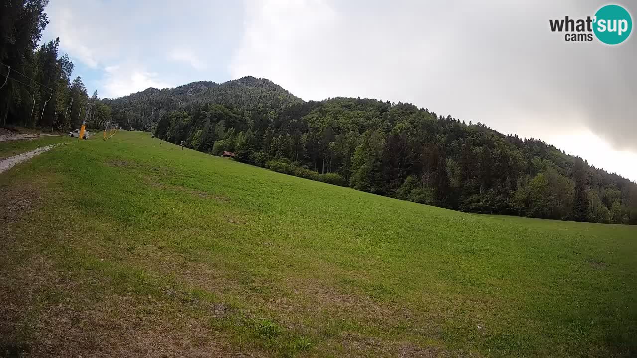 Kranjska Gora Station de ski | Brsnina