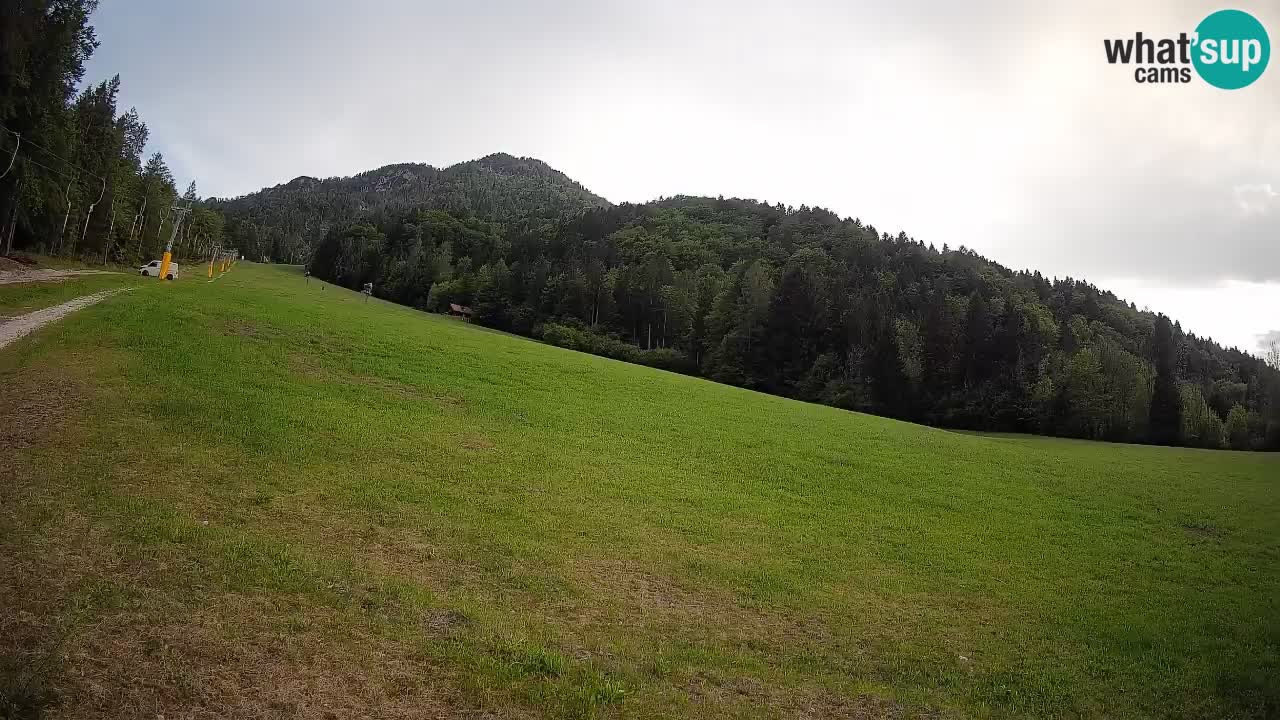 Ski Kranjska Gora | Brsnina