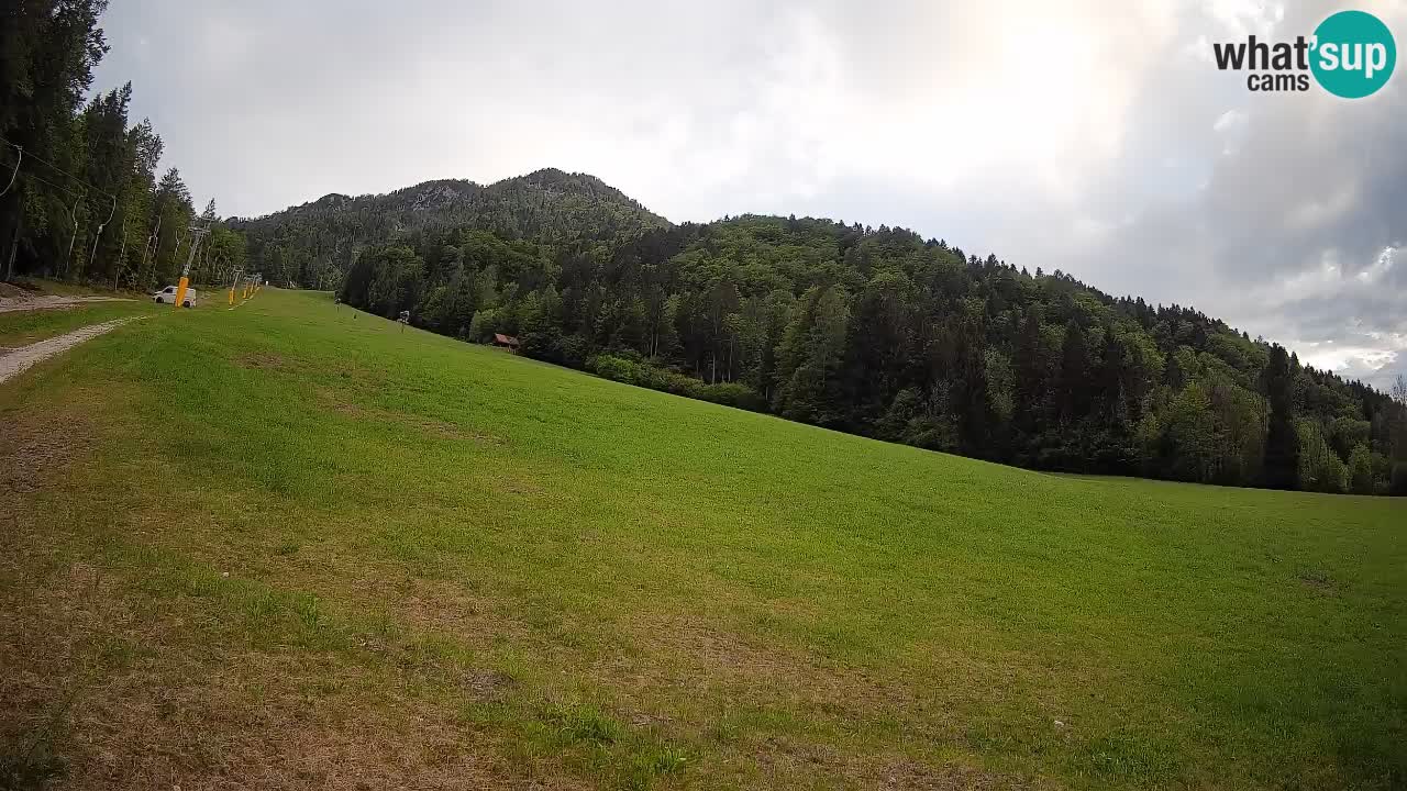 Esquí Kranjska Gora | Brsnina