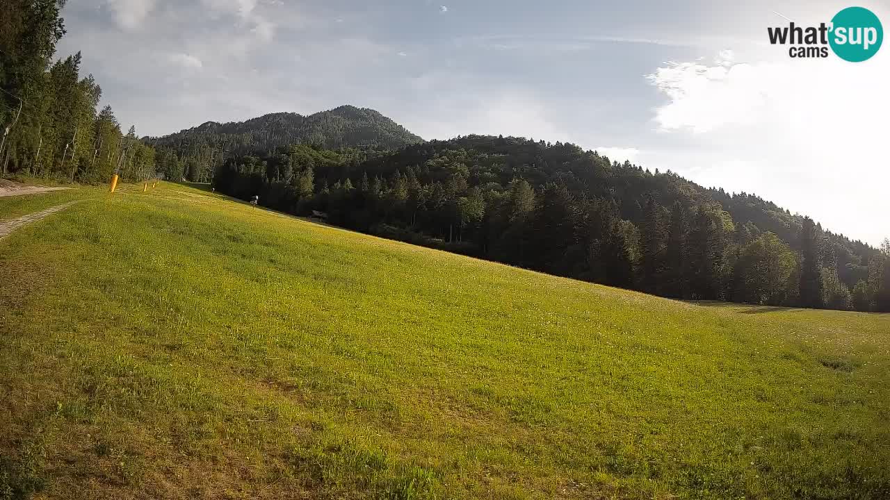 Kranjska Gora Station de ski | Brsnina