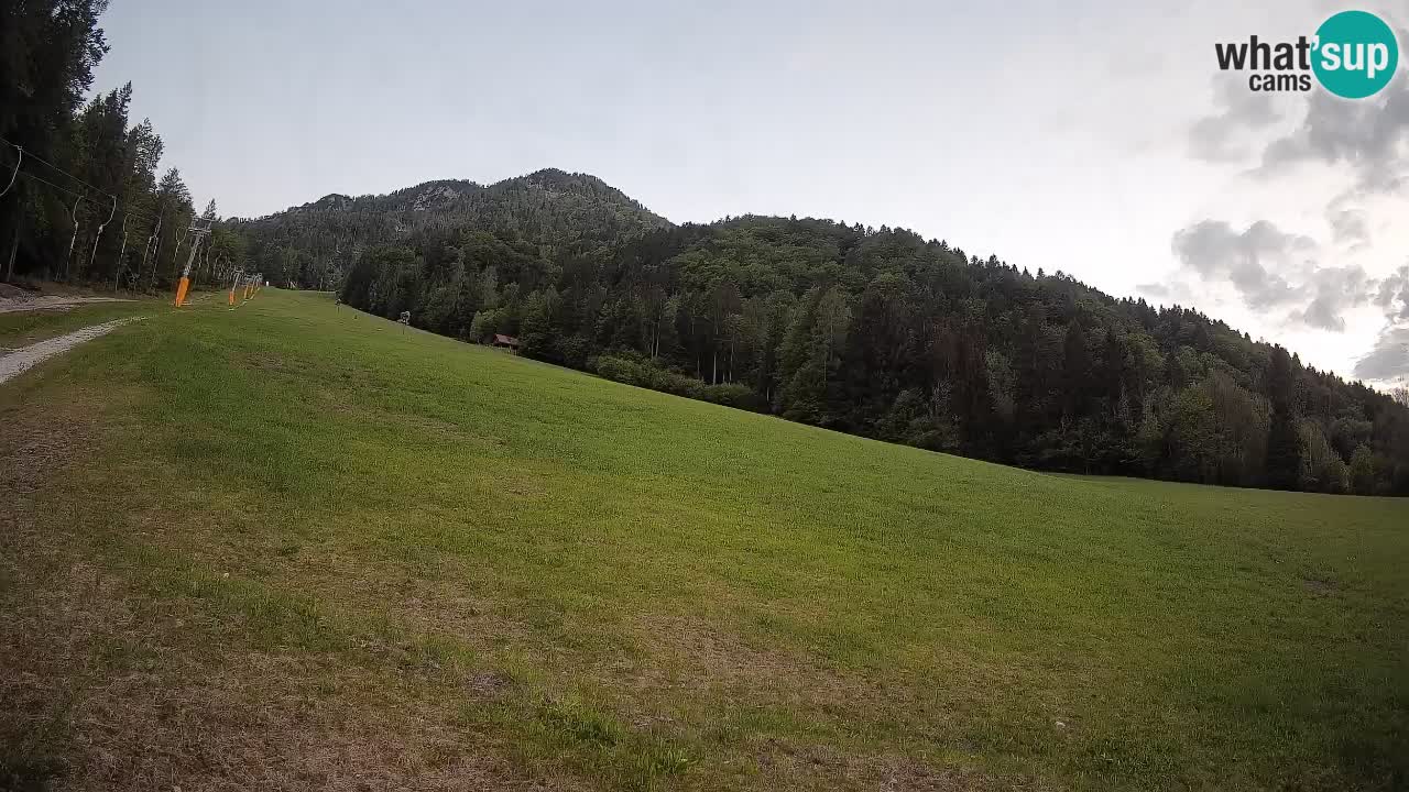 Kranjska Gora Station de ski | Brsnina