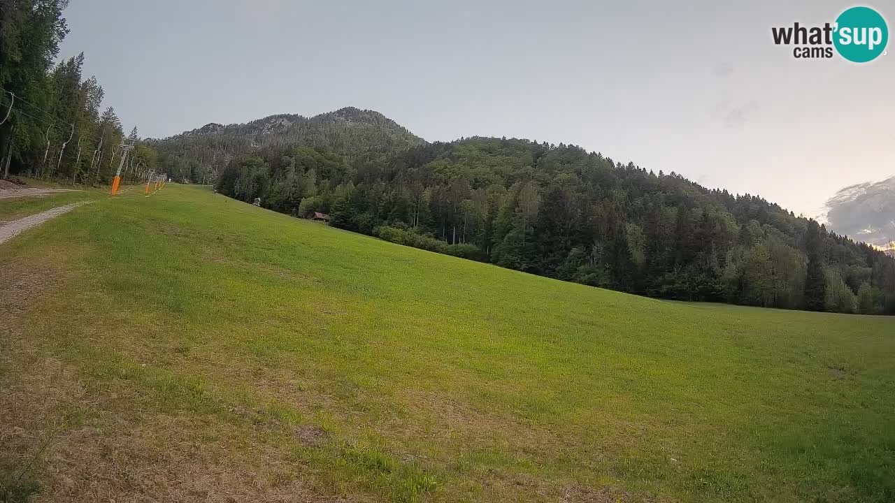Kranjska Gora Station de ski | Brsnina