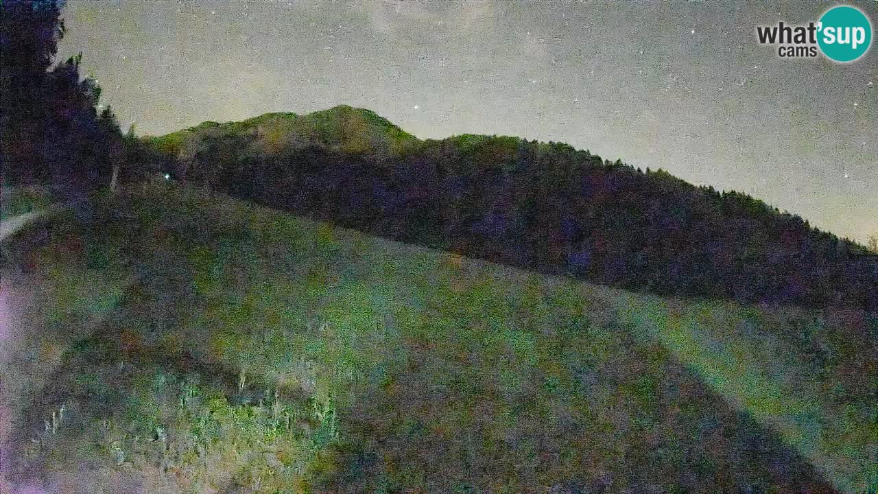 Kranjska Gora SKIJANJE | Brsnina