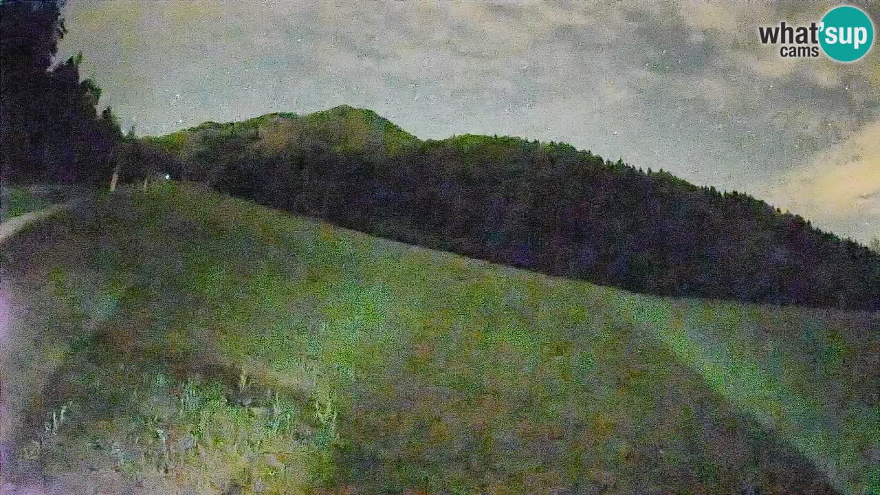 RTC Kranjska Gora | Brsnina