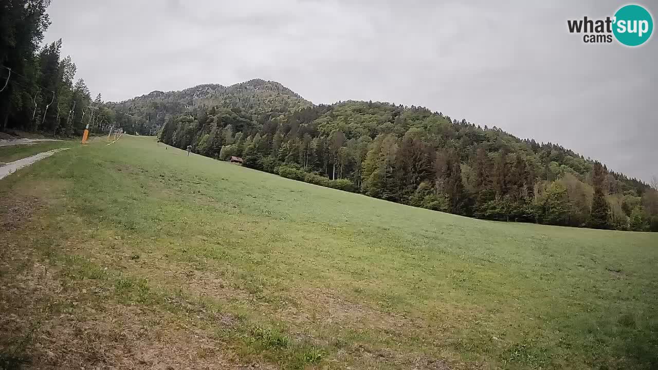 Kranjska Gora Station de ski | Brsnina