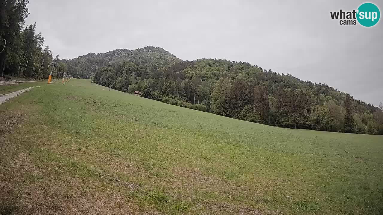RTC Skigebiet Kranjska Gora | Brsnina