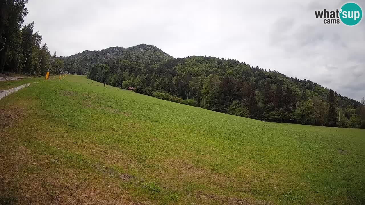 Kranjska Gora SKIJANJE | Brsnina
