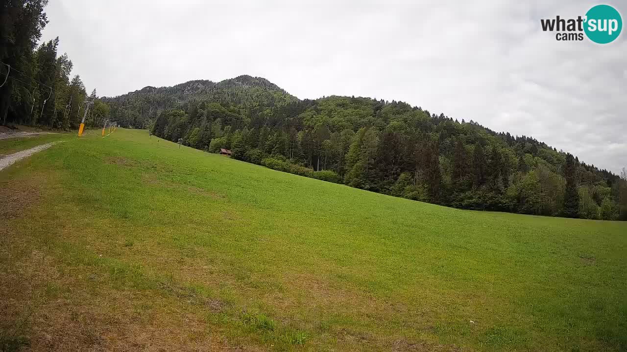 Esquí Kranjska Gora | Brsnina
