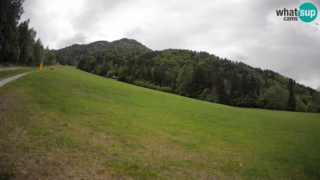 Kranjska Gora Station de ski | Brsnina
