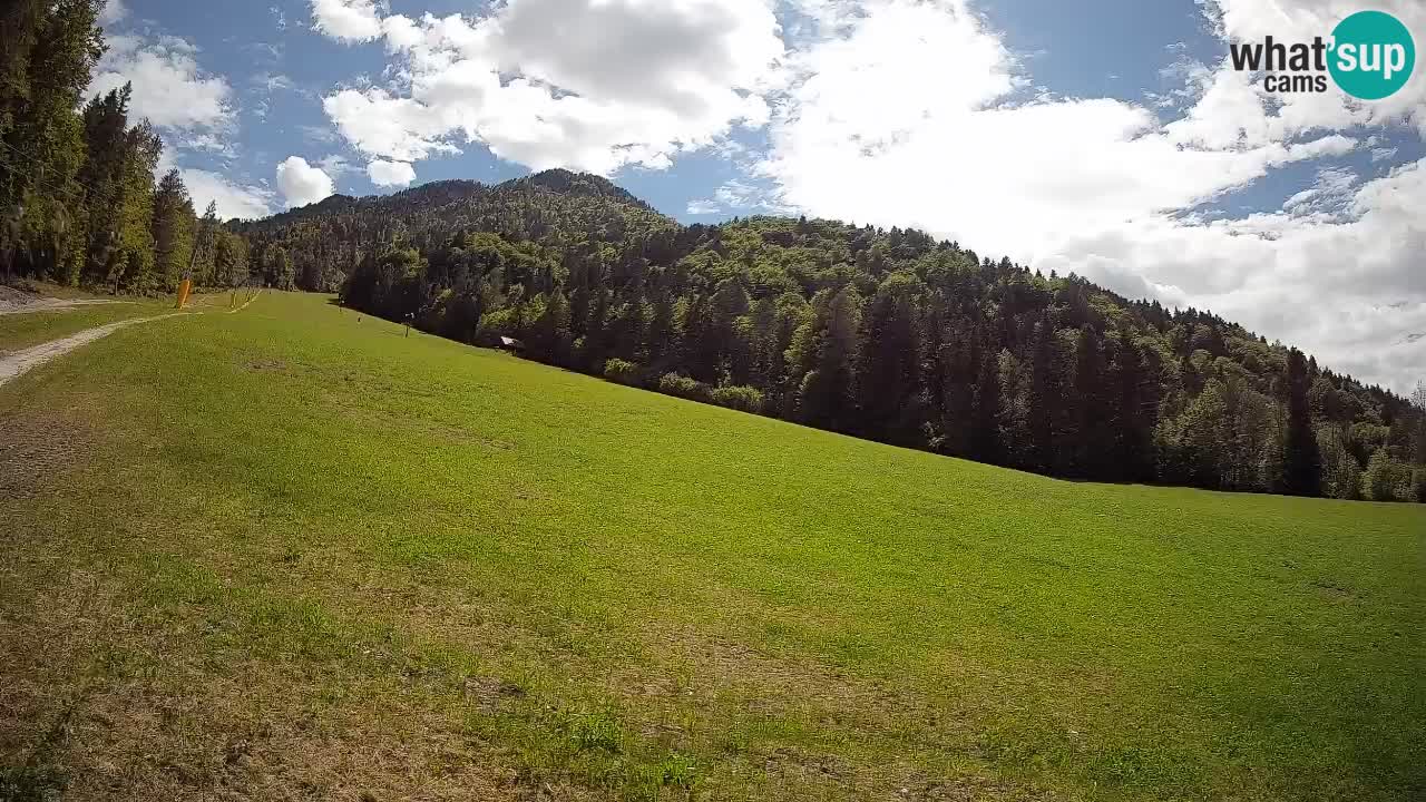 RTC Kranjska Gora | Brsnina