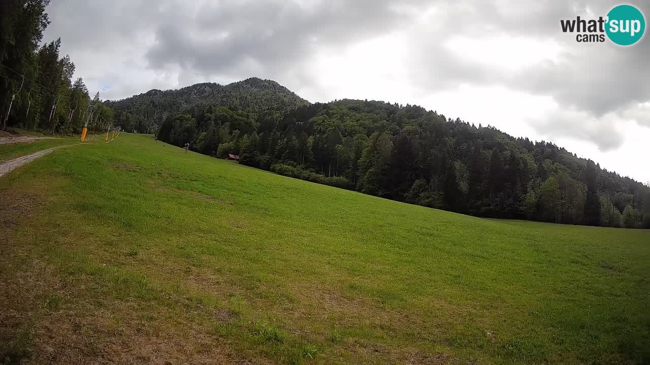 RTC Skigebiet Kranjska Gora | Brsnina