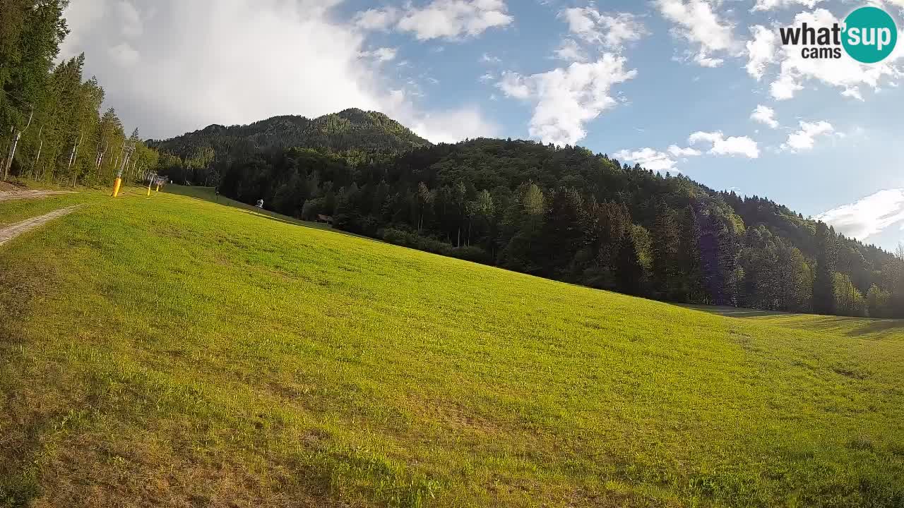 Ski Kranjska Gora | Brsnina