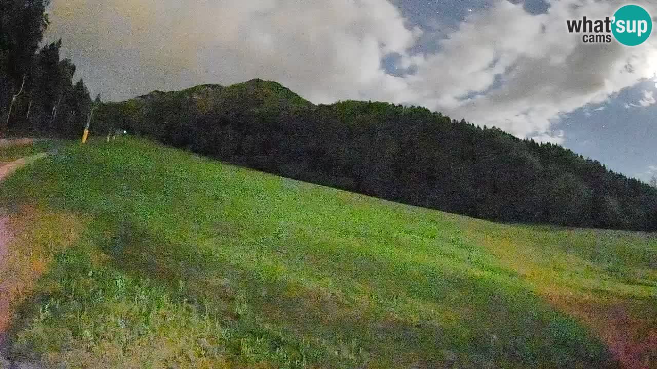 Kranjska Gora SKIJANJE | Brsnina