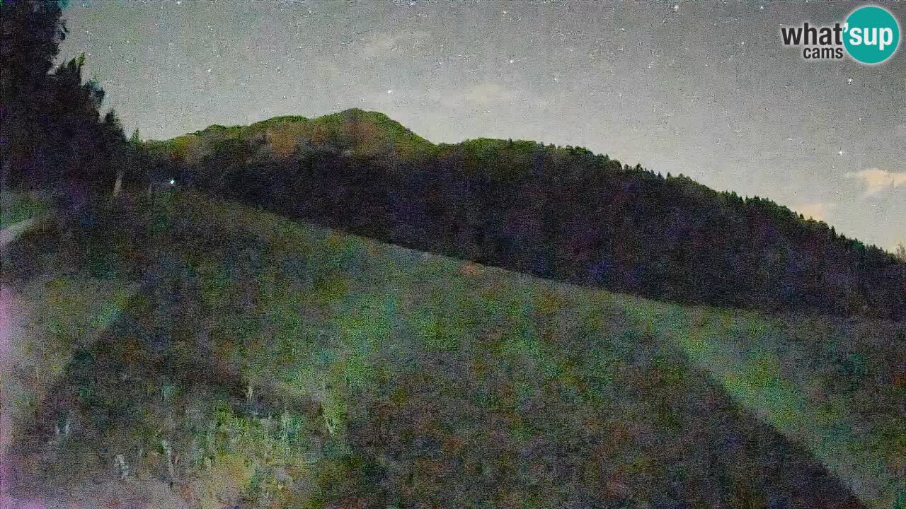Ski Kranjska Gora | Brsnina