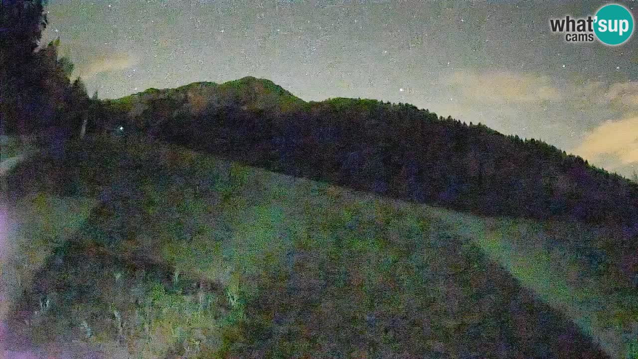 Ski Kranjska Gora | Brsnina