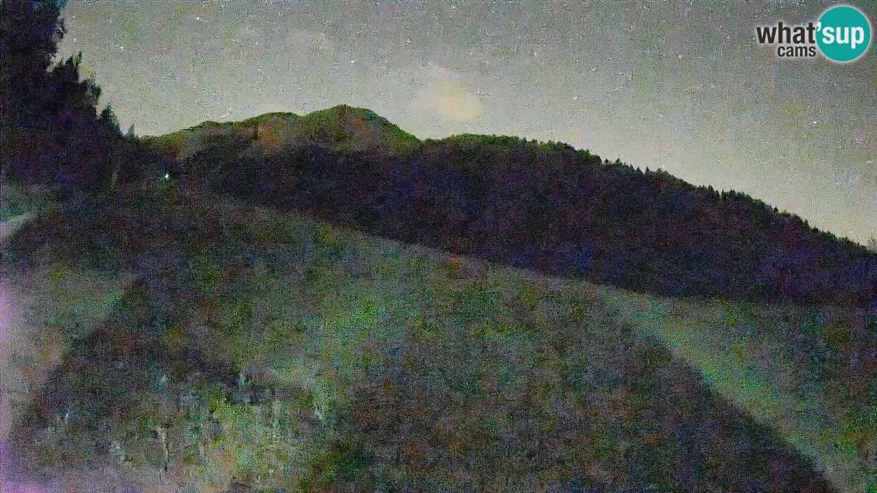 RTC Skigebiet Kranjska Gora | Brsnina