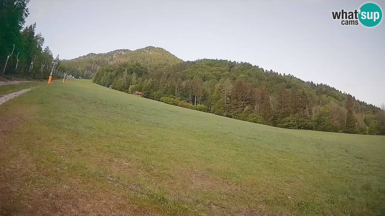 Ski Kranjska Gora | Brsnina