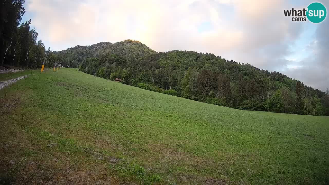Comprensorio sciistico Kranjska Gora | Brsnina