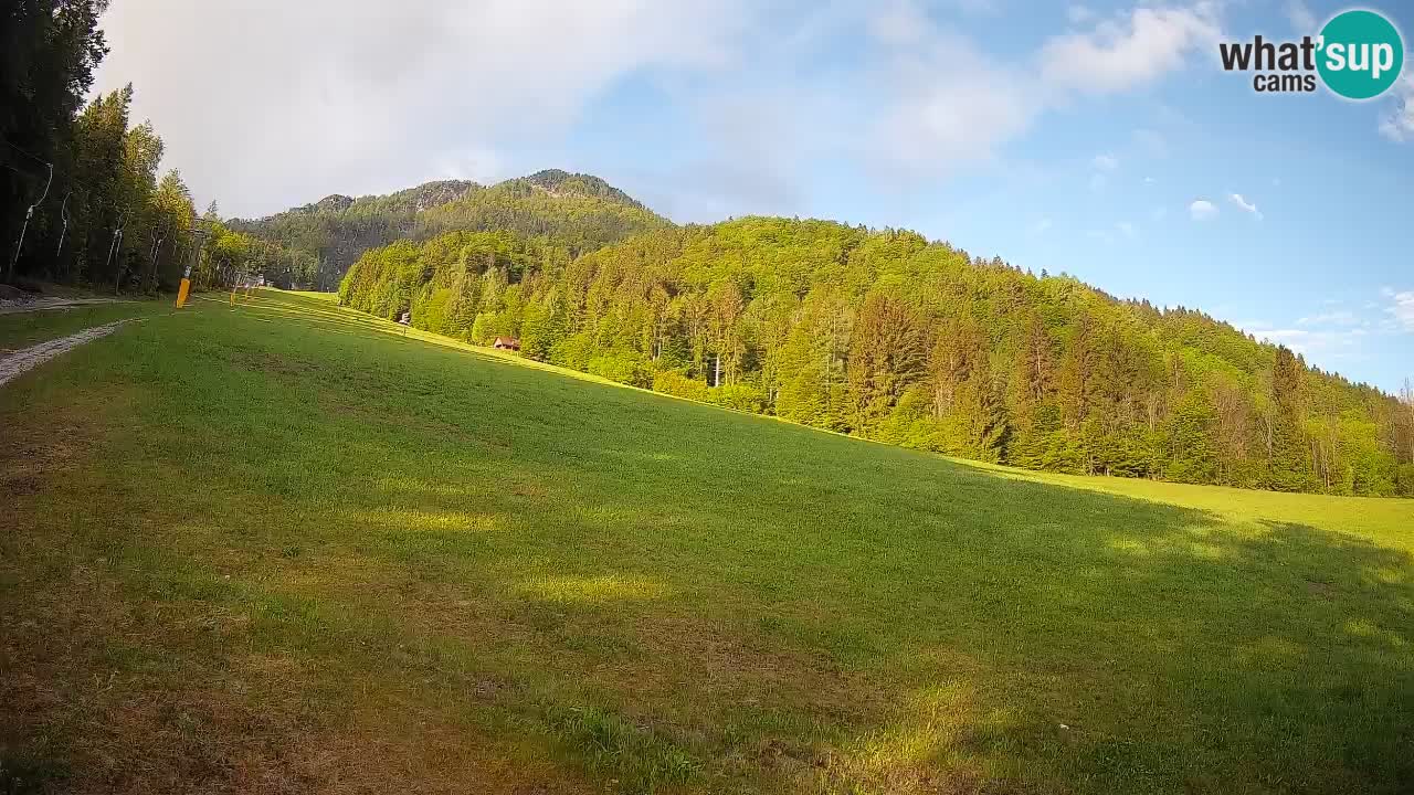 Ski Kranjska Gora | Brsnina