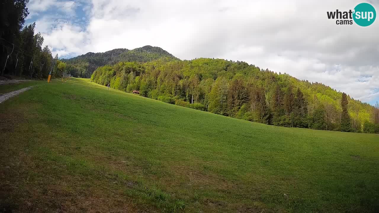 RTC Skigebiet Kranjska Gora | Brsnina