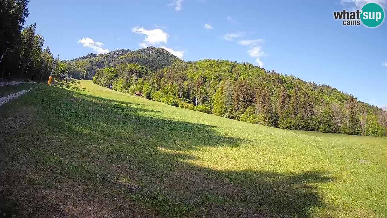 Esquí Kranjska Gora | Brsnina