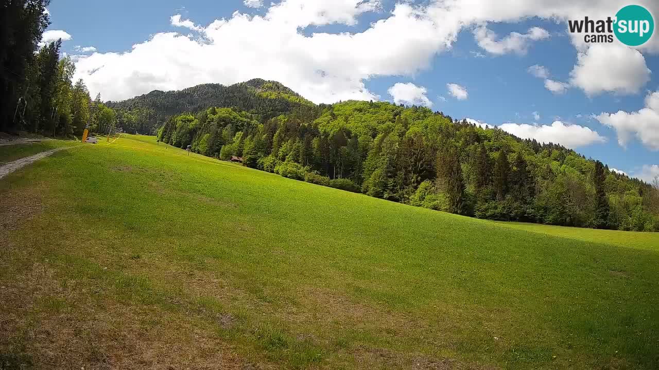 Esquí Kranjska Gora | Brsnina