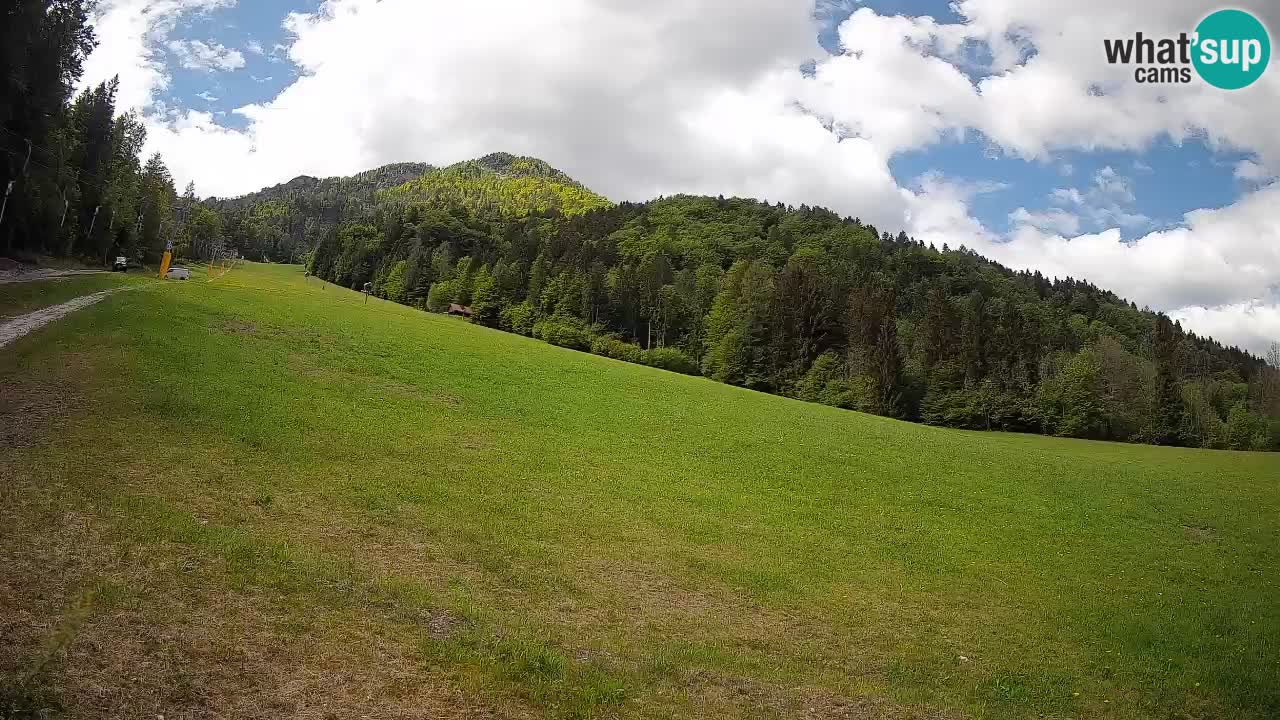Kranjska Gora Station de ski | Brsnina