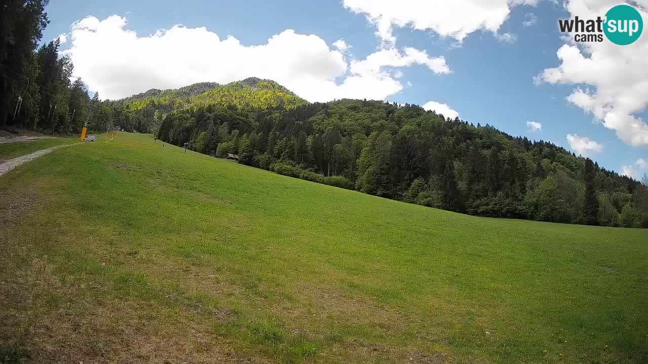 Esquí Kranjska Gora | Brsnina