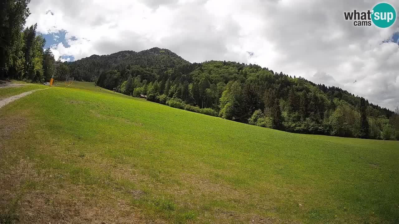 Ski Kranjska Gora | Brsnina