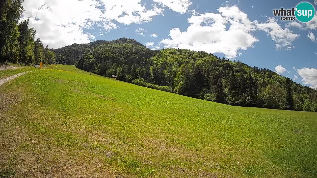 Kranjska Gora Station de ski | Brsnina