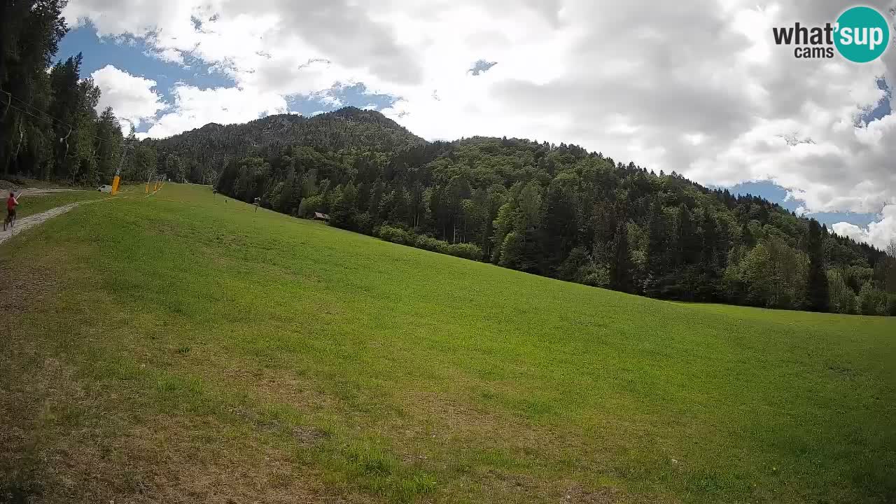 Kranjska Gora Station de ski | Brsnina