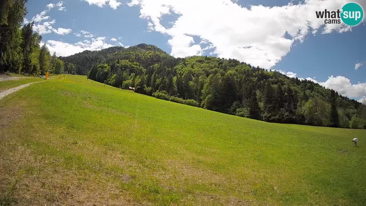 Kranjska Gora Station de ski | Brsnina