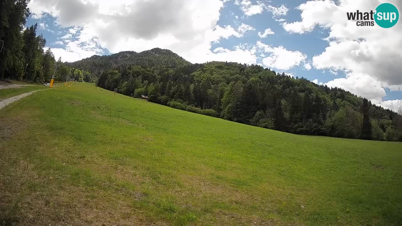 Comprensorio sciistico Kranjska Gora | Brsnina