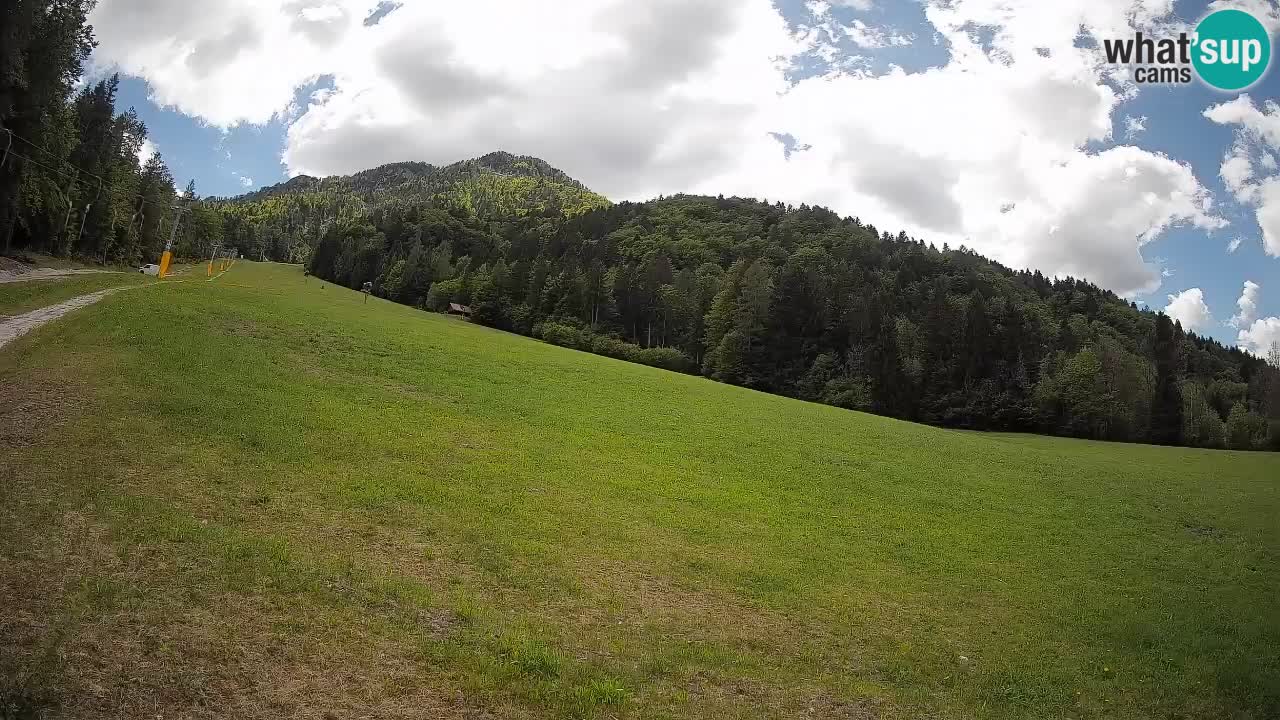 Esquí Kranjska Gora | Brsnina