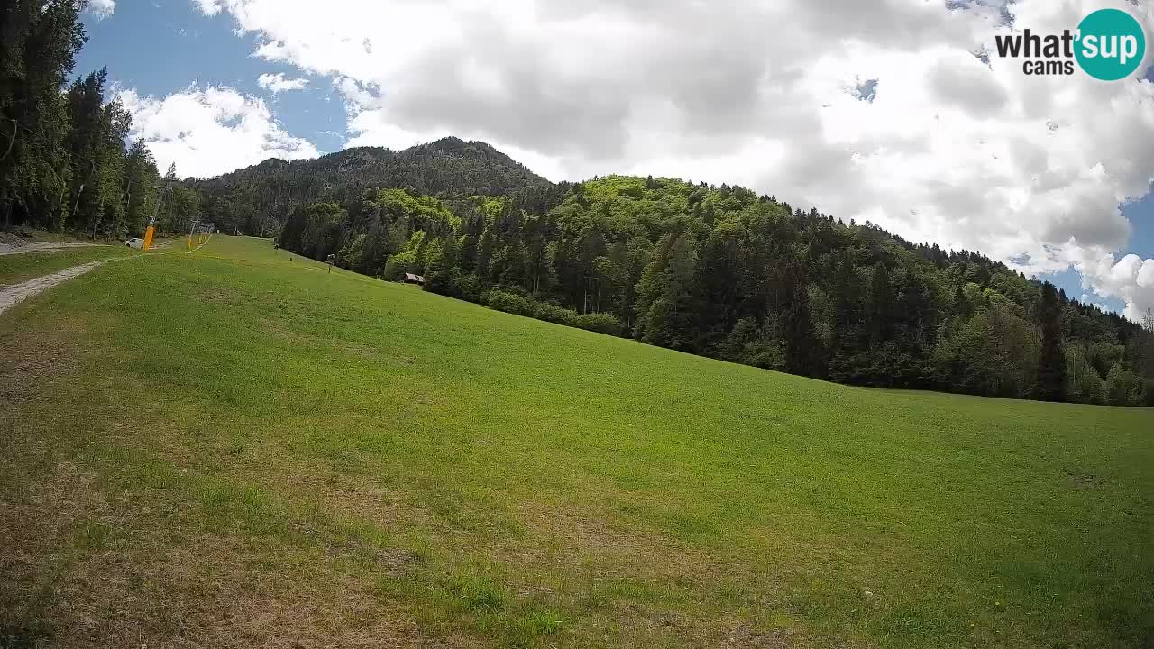 RTC Skigebiet Kranjska Gora | Brsnina