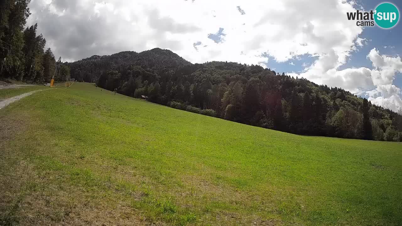 RTC Kranjska Gora | Brsnina