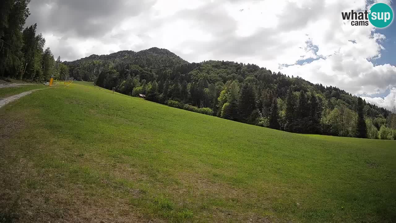 Ski Kranjska Gora | Brsnina