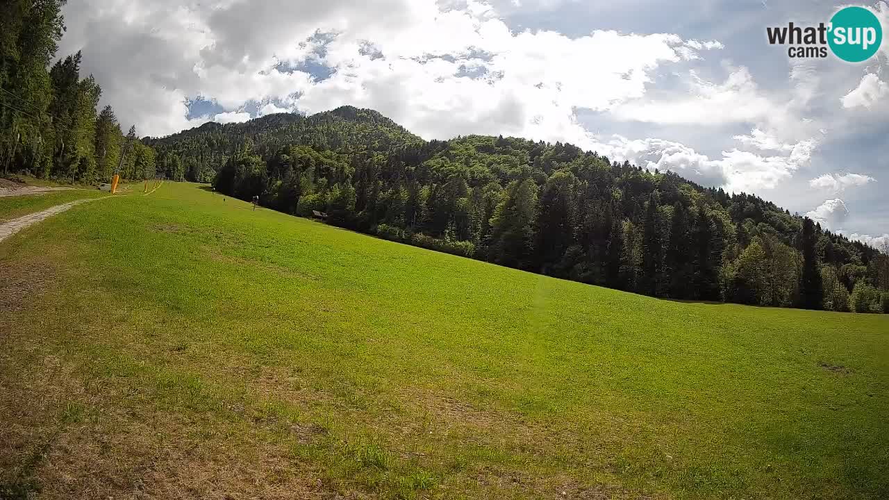 Kranjska Gora SKIJANJE | Brsnina