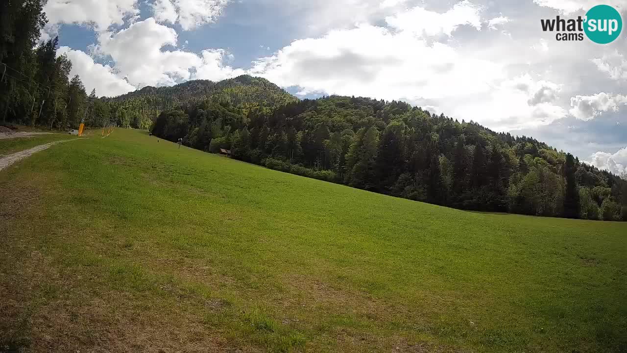 RTC Kranjska Gora | Brsnina