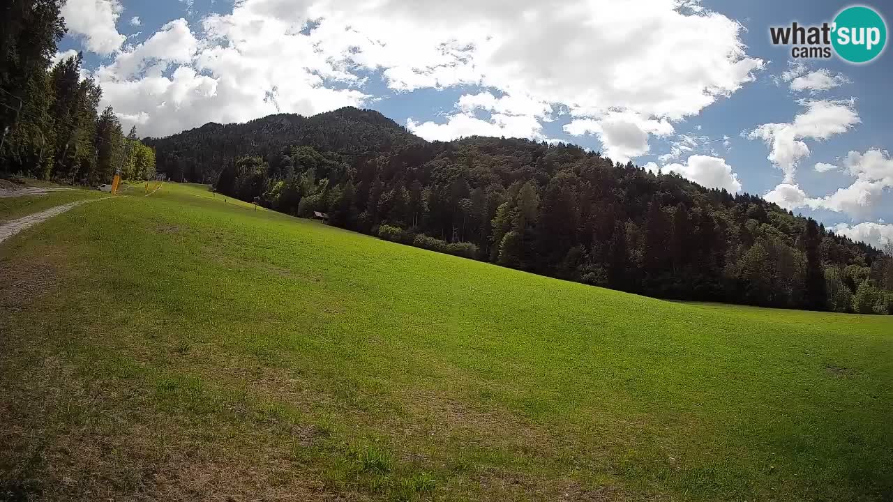 RTC Skigebiet Kranjska Gora | Brsnina