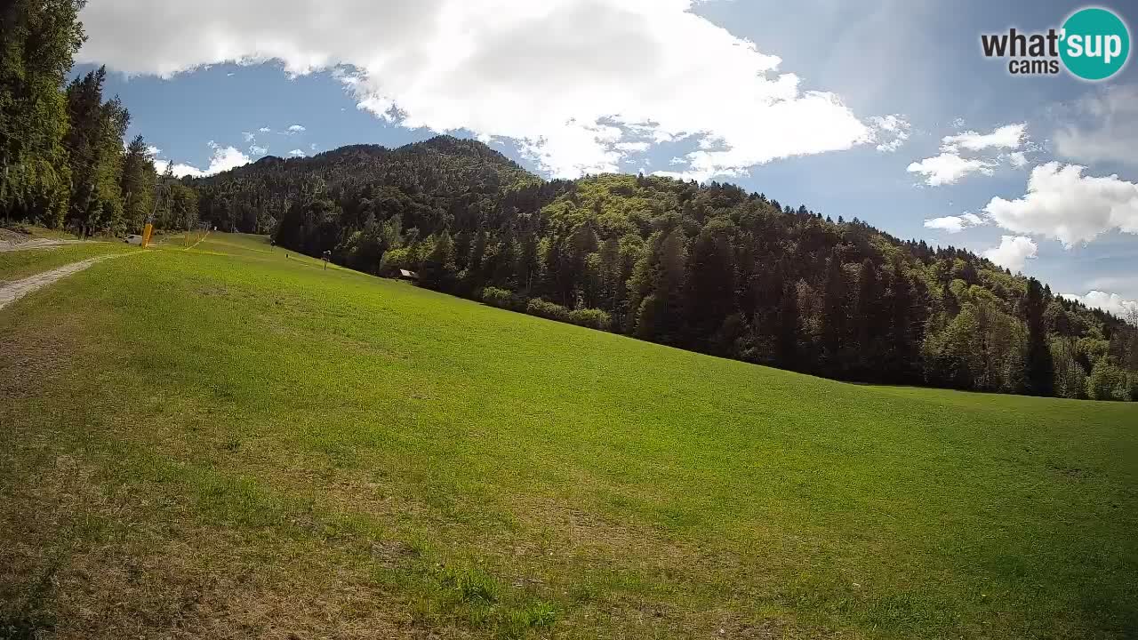 RTC Skigebiet Kranjska Gora | Brsnina
