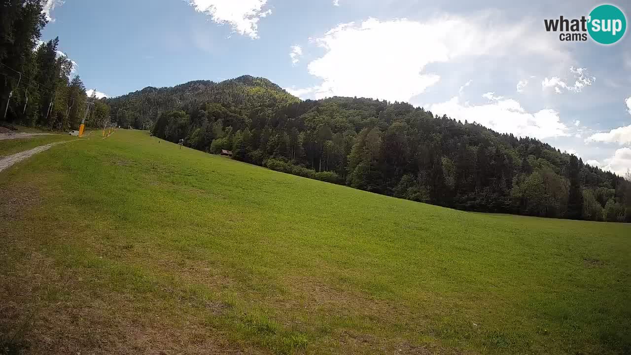Ski Kranjska Gora | Brsnina