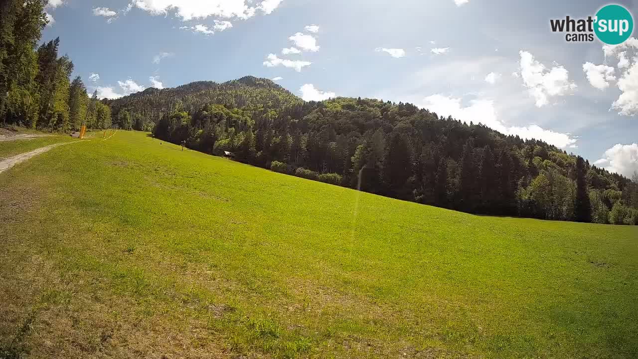 Esquí Kranjska Gora | Brsnina