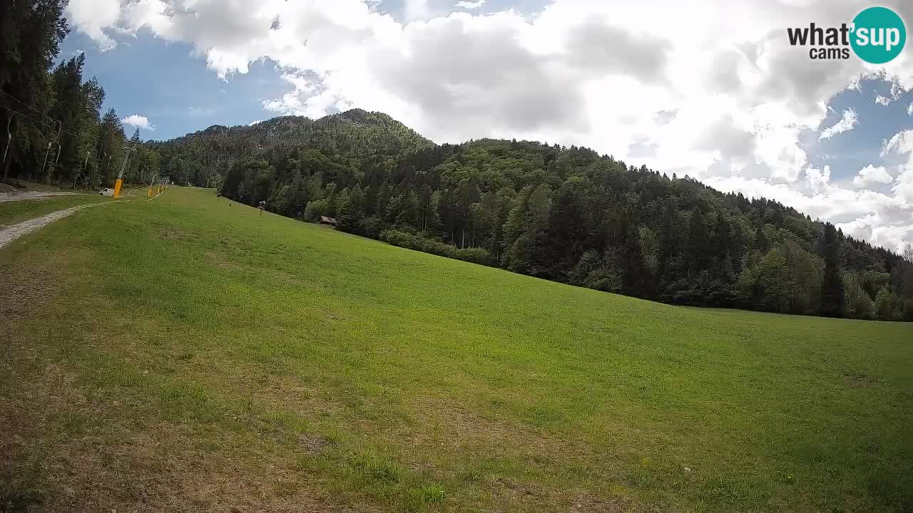 Esquí Kranjska Gora | Brsnina