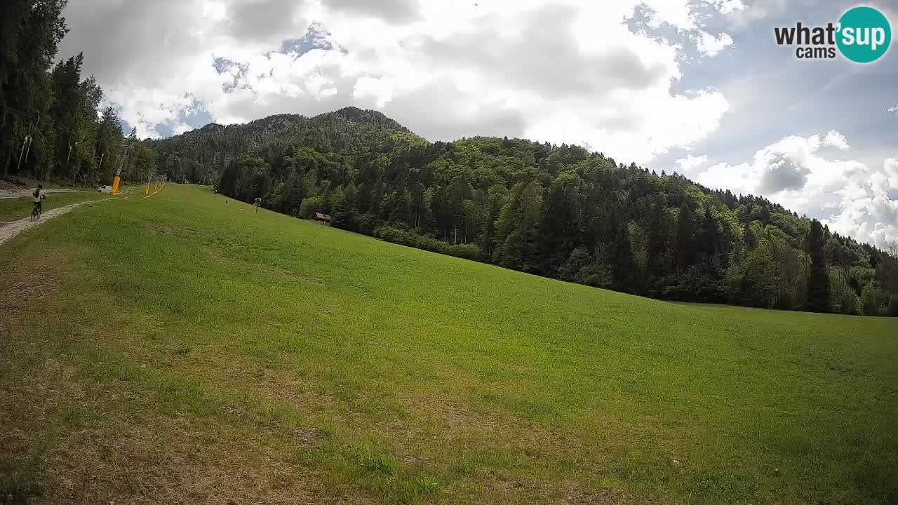 Comprensorio sciistico Kranjska Gora | Brsnina