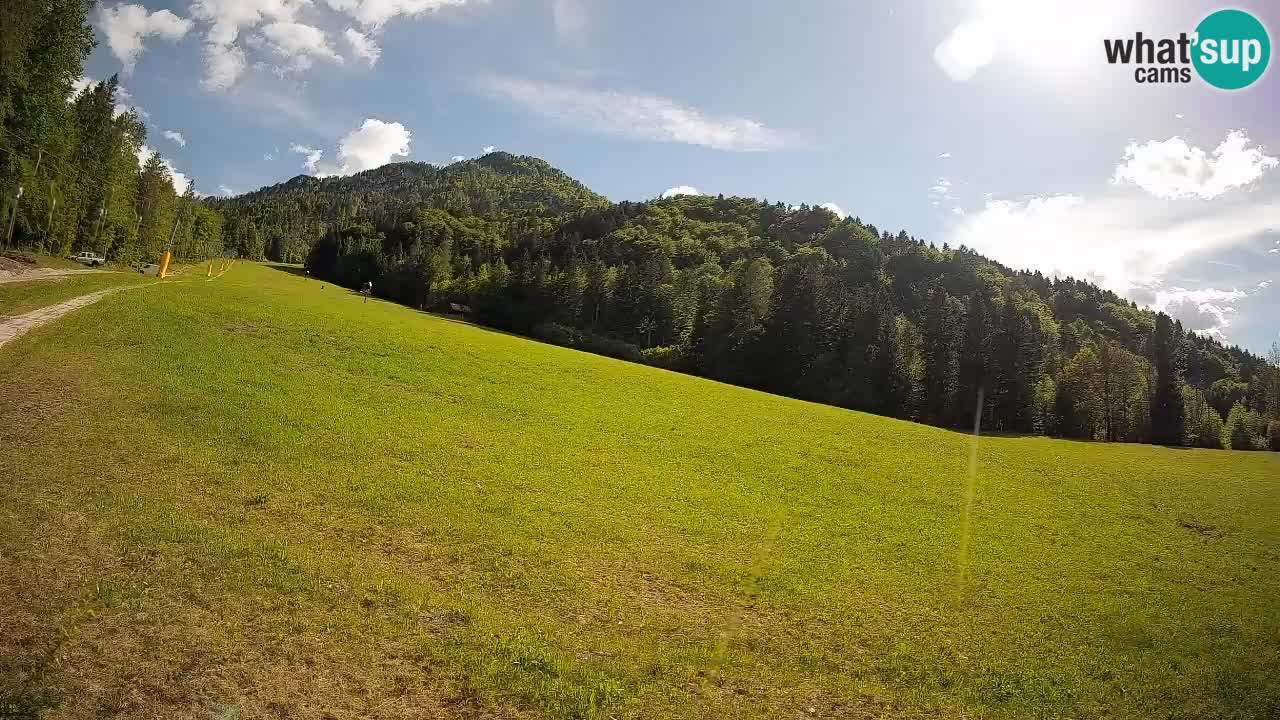 Ski Kranjska Gora | Brsnina