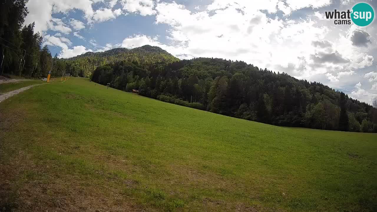 Comprensorio sciistico Kranjska Gora | Brsnina