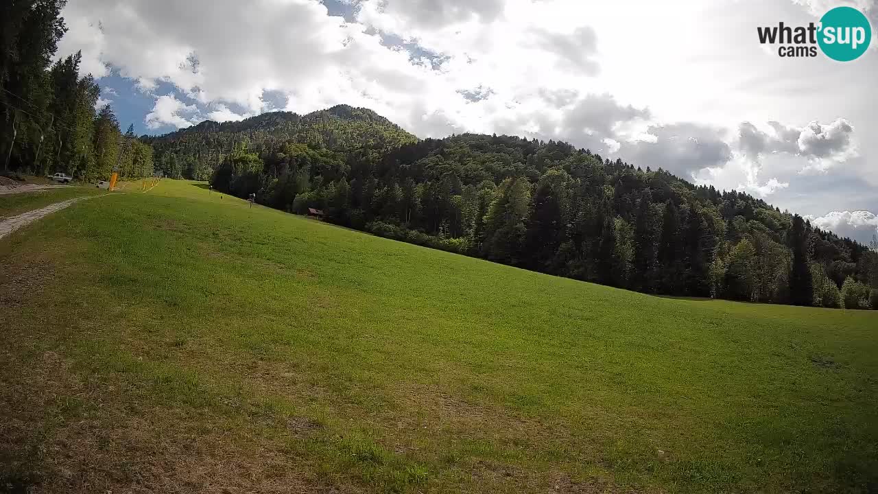 Comprensorio sciistico Kranjska Gora | Brsnina