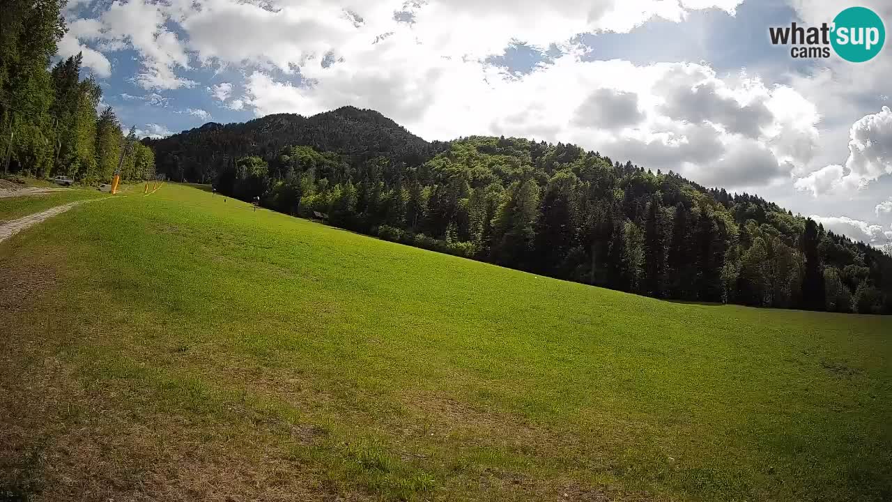 Esquí Kranjska Gora | Brsnina
